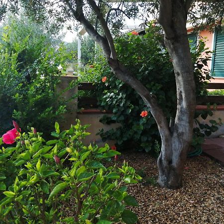 La Casa Nel Borgo Villa เกีย ภายนอก รูปภาพ