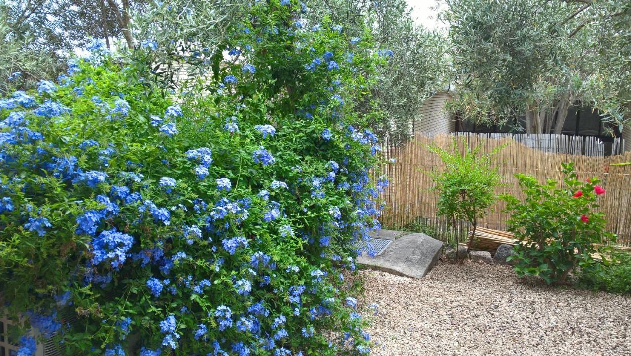 La Casa Nel Borgo Villa เกีย ภายนอก รูปภาพ